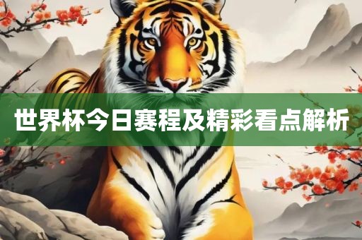 世界杯今日赛程及精彩看点解析