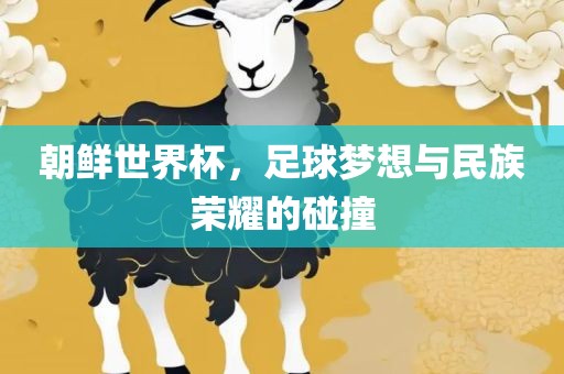 朝鲜世界杯，足球梦想与民族荣耀的碰撞