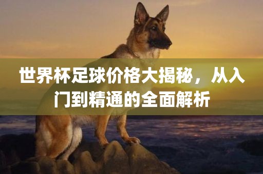世界杯足球价格大揭秘，从入门到精通的全面解析漯河市盈旭机械设备有限公司