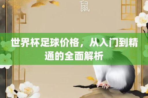 世界杯足球价格，从入门到精通的全面解漯河市盈旭机械设备有限公司析