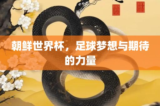 朝鲜世界杯，足球梦想与期待的力量