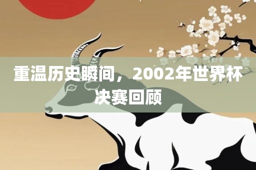 重温历史瞬间，2002年世界杯决赛回顾