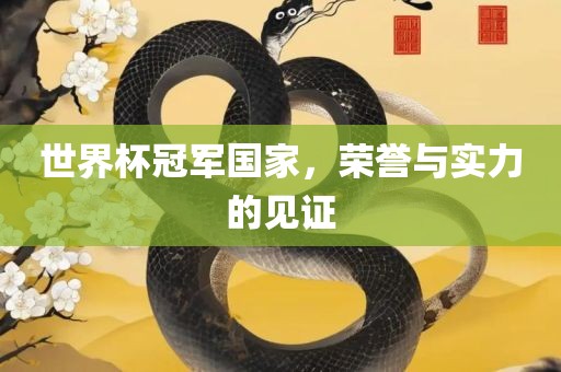世界杯冠军国家，荣誉与实力的见证