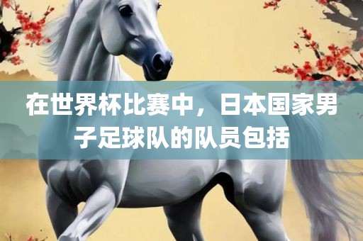 在世界杯比赛中，日本国家男子足球队的队员包括漯河市盈旭机械设备有限公司