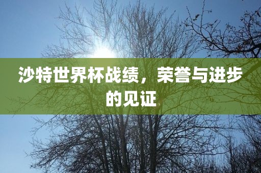 沙特世界杯战绩，荣誉与进步漯河市盈旭机械设备有限公司的见证