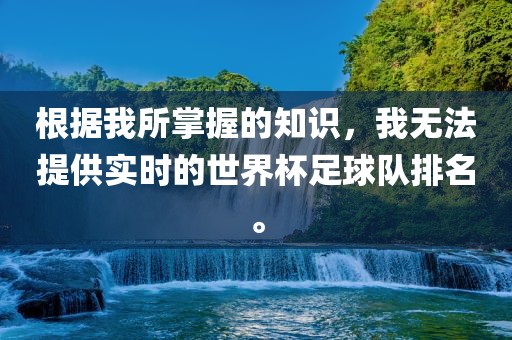 根据我所掌握的知识，我无法提供实时的世界杯足球队排名。