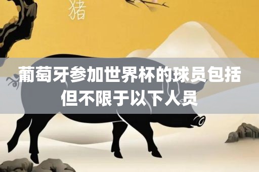 葡萄牙参加世界杯的球员包括但不限于以下人员