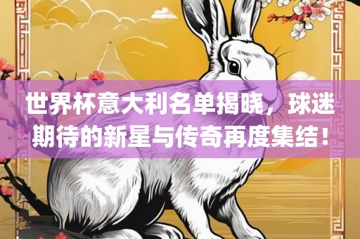 世界杯意大利名单揭晓，球迷期待的新星与传奇再度集结！