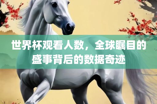 世界杯观看人数，全球瞩目的盛事背后的数据奇迹