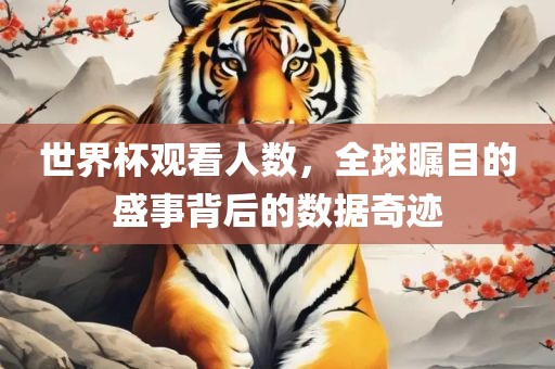 世界杯观看人数，全球瞩目的盛事背后的数据奇迹