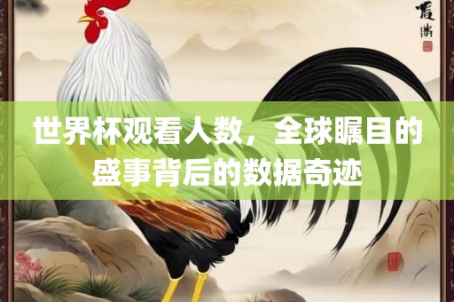 世界杯观看人数，全球瞩目的盛事背后的数据奇迹