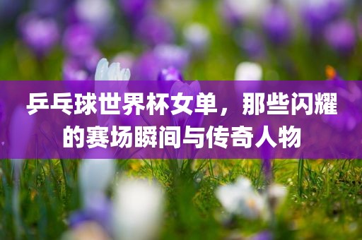 乒乓球世界杯女单，那些闪耀的赛场瞬间与传奇人物漯河市盈旭机械设备有限公司