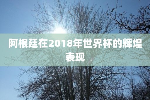 阿根廷在2018年世界杯的辉煌表现