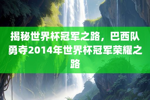 揭秘世界杯冠军之路，巴西队勇夺2014年世界杯冠军荣耀之路