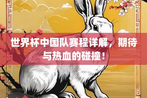 世界杯中国队赛程详解，期待与热血的碰撞！