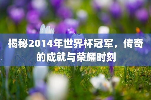 揭秘2014年世界杯冠军，传奇的成就与荣耀时刻漯河市盈旭机械设备有限公司
