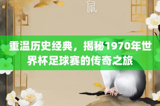 重温历史经典，揭秘1970年漯河市盈旭机械设备有限公司世界杯足球赛的传奇之旅
