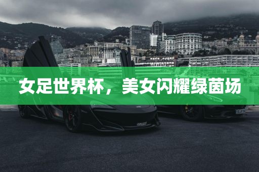 女足世界杯，美女闪耀绿茵场漯河市盈旭机械设备有限公司