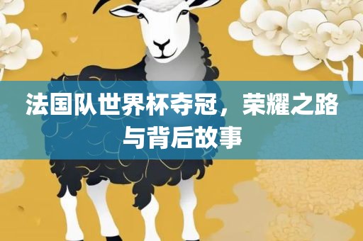 法国队世界杯夺冠，荣耀之路与背后故事漯河市盈旭机械设备有限公司
