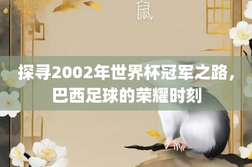 探寻2002年世界杯冠军之路，巴西足球的荣耀时刻漯河市盈旭机械设备有限公司
