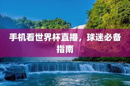 手机看世界杯直播，球迷必备指南漯河市盈旭机械设备有限公司