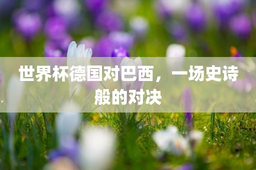 世界杯德国对巴西，一场史诗般的对决漯河市盈旭机械设备有限公司