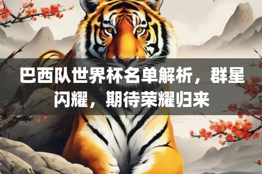 巴西队世界杯名单解析，群星闪耀，期待荣耀归来