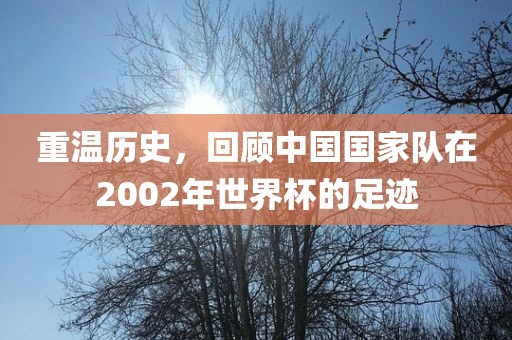 重温历史，回顾中国国家队在2002年世界杯的足迹漯河市盈旭机械设备有限公司