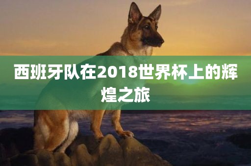 西班牙队在2018世界杯上的辉煌之旅