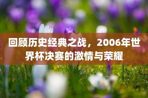 回顾历史经典之战，2006年世界杯决赛的激情与荣耀