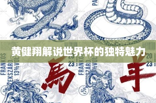 黄健翔解说世界杯的独特魅力漯河市盈旭机械设备有限公司