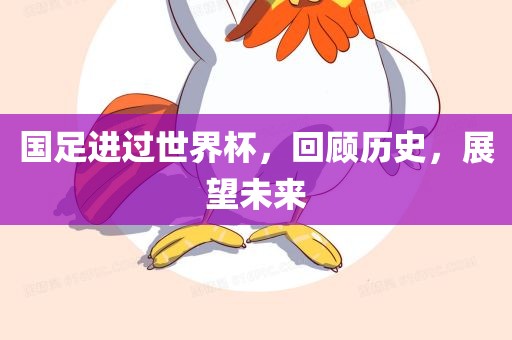 国足进过世界杯，回顾历史，展望未来漯河市盈旭机械设备有限公司