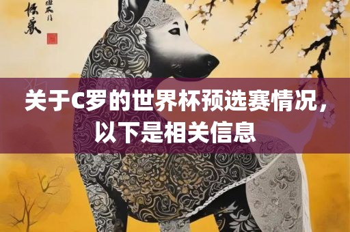 关于C罗的世界杯预选赛情况，以下是相关信息
