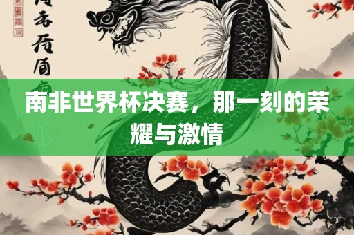 南非世界杯决赛，那一刻的荣耀与激情