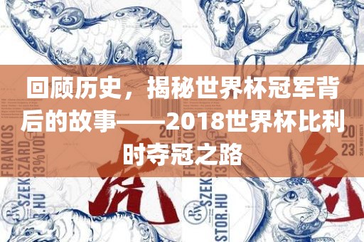 回顾历史，揭秘世界杯冠军背后的故事——2018世界杯比利时夺冠之路漯河市盈旭机械设备有限公司