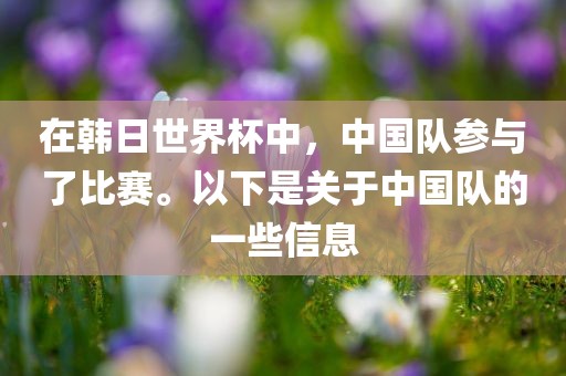在韩日世界杯中，中国队参与了比赛。以下是关于中国队的一些信息