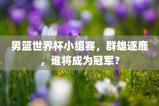 男篮世界杯小组赛，群雄逐鹿，谁将成为冠军？