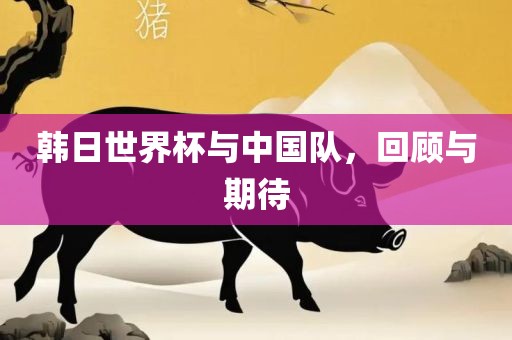 韩日世界杯与中国队，回顾与期待