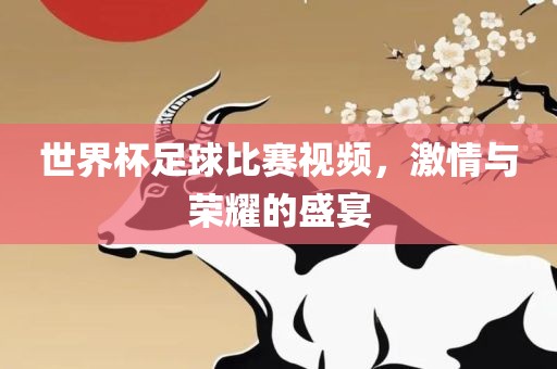 世界杯足球比赛视频，激情与荣耀的盛宴