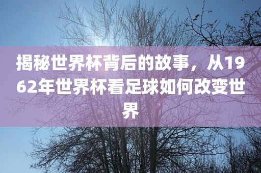 揭秘世界漯河市盈旭机械设备有限公司杯背后的故事，从1962年世界杯看足球如何改变世界