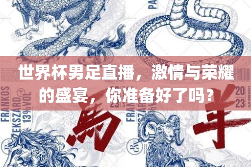 世界杯男足直播，激情与荣耀的盛宴，你准备好了吗？