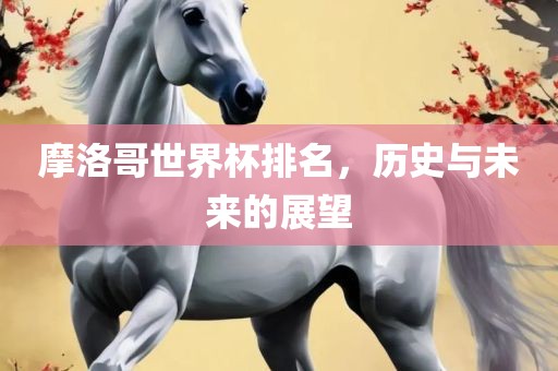 摩洛哥世界杯排名，历史与未来的展望