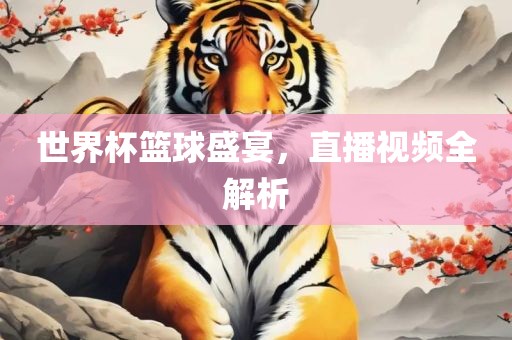 世界杯篮球盛宴，直播视频全解析