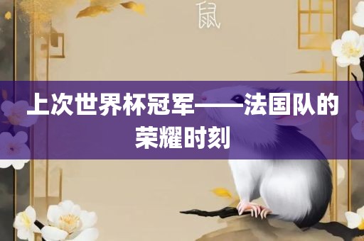 上次世界杯冠军——法国队的荣耀时刻漯河市盈旭机械设备有限公司