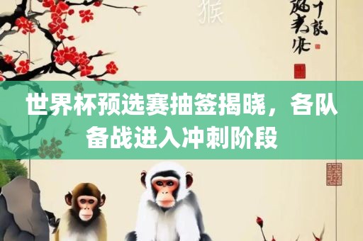 世界杯预选赛抽签揭晓，各队备战进入冲刺阶段
