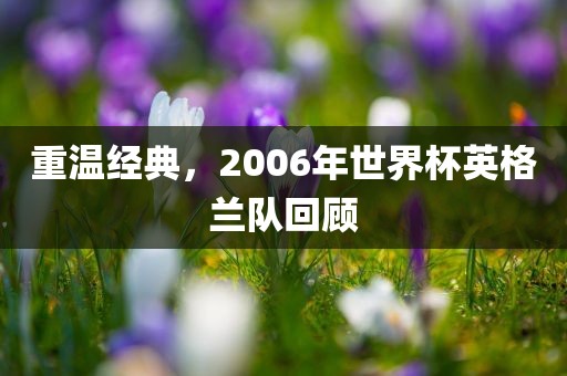 重温经典，2006年世界杯英格兰队回顾