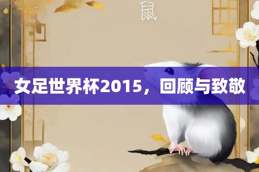 女足世界杯2015，回顾与致敬