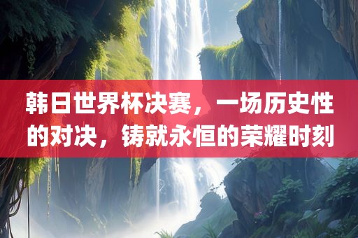 韩日世界杯决赛