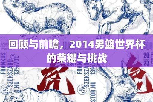 回顾与前瞻，2014男篮世界杯的荣耀与挑战漯河市盈旭机械设备有限公司