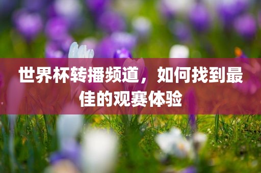 世界杯转播频道，如何找到最佳的观赛体验